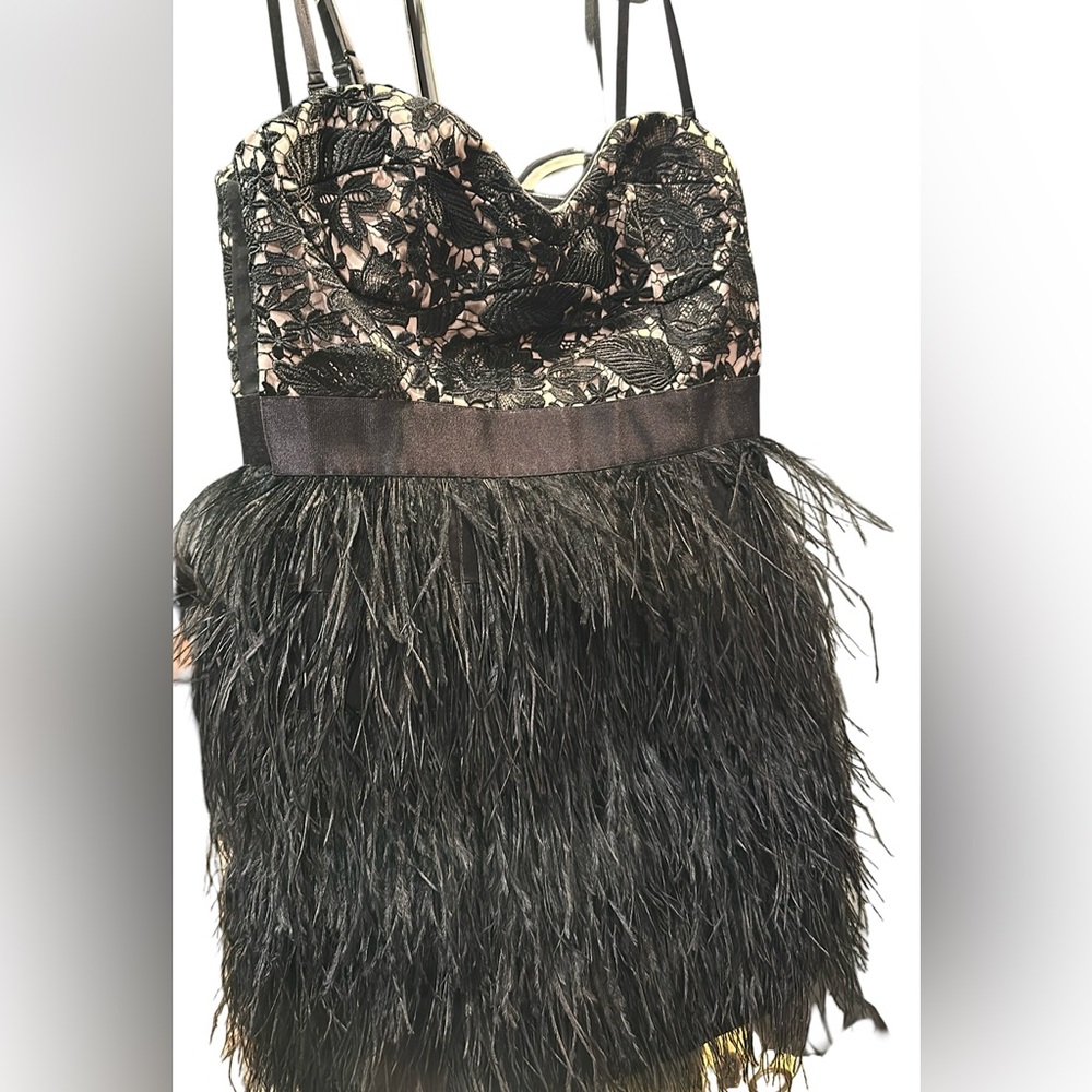 Black and beige feathered dress